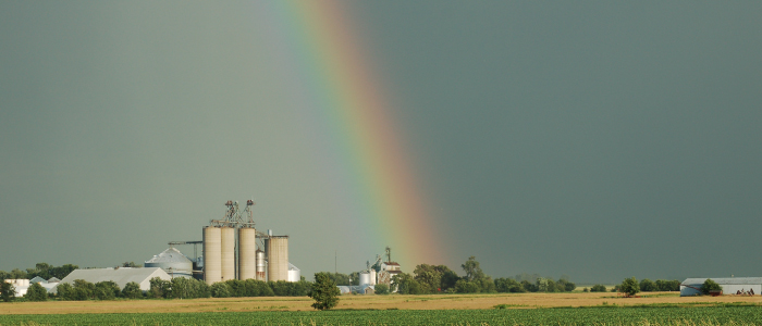 rainbow